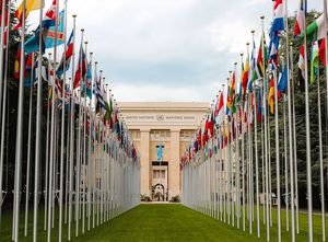Global South Policy Hub