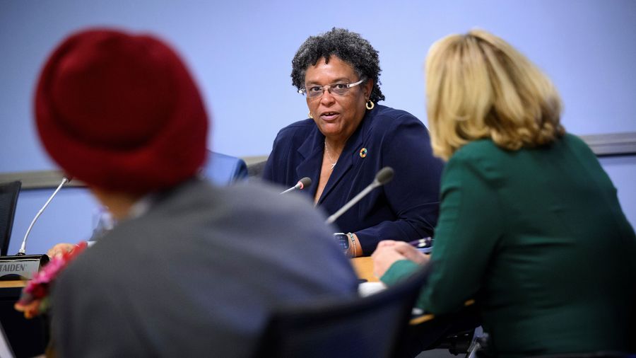 Press preview image: Semantic Debates Are a Distraction From the Global South’s Demands