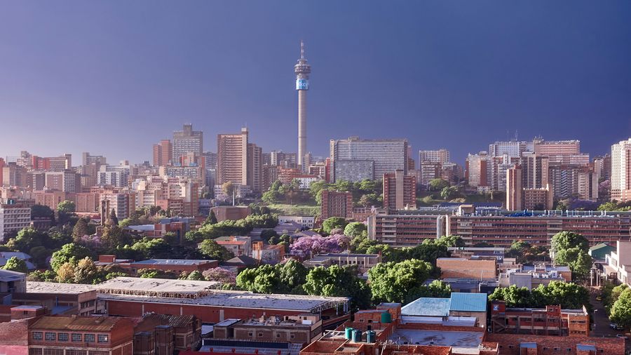 Congress Connect Educational Trip to South Africa